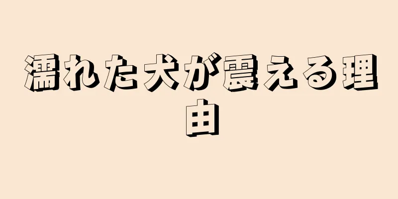 濡れた犬が震える理由