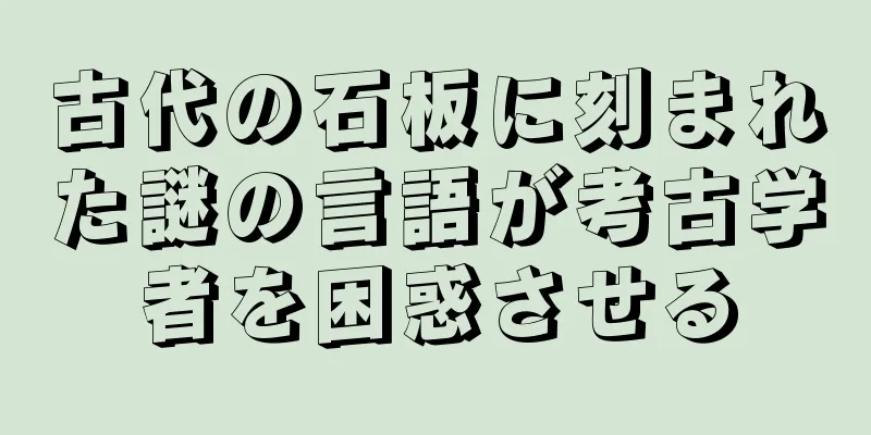 古代の石板に刻まれた謎の言語が考古学者を困惑させる