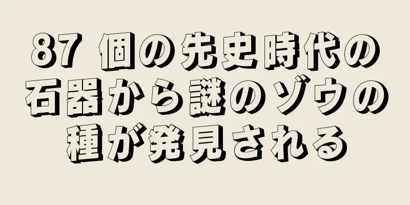87 個の先史時代の石器から謎のゾウの種が発見される