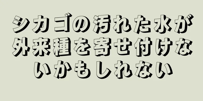 シカゴの汚れた水が外来種を寄せ付けないかもしれない