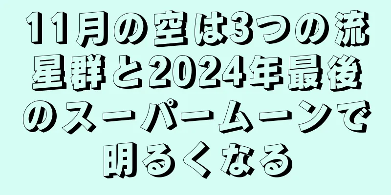 11月の空は3つの流星群と2024年最後のスーパームーンで明るくなる
