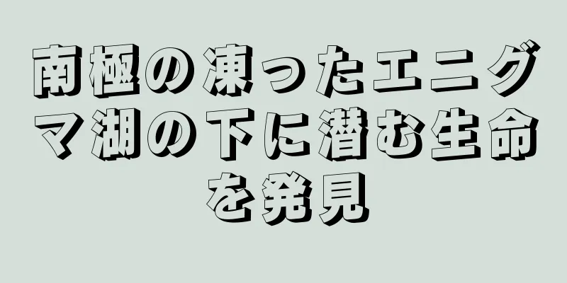 南極の凍ったエニグマ湖の下に潜む生命を発見