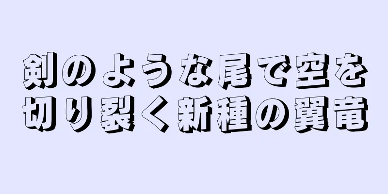 剣のような尾で空を切り裂く新種の翼竜