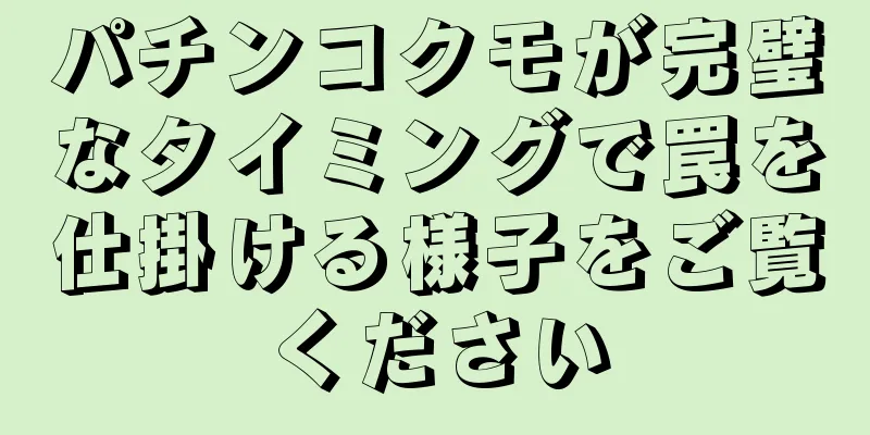 パチンコクモが完璧なタイミングで罠を仕掛ける様子をご覧ください
