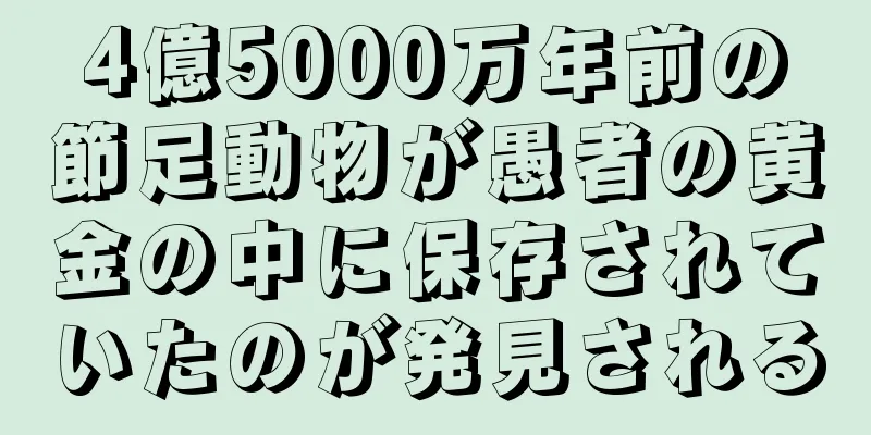 4億5000万年前の節足動物が愚者の黄金の中に保存されていたのが発見される