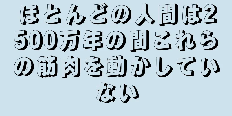ほとんどの人間は2500万年の間これらの筋肉を動かしていない