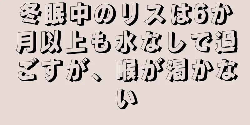 冬眠中のリスは6か月以上も水なしで過ごすが、喉が渇かない