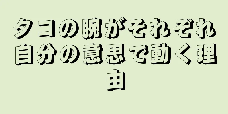 タコの腕がそれぞれ自分の意思で動く理由