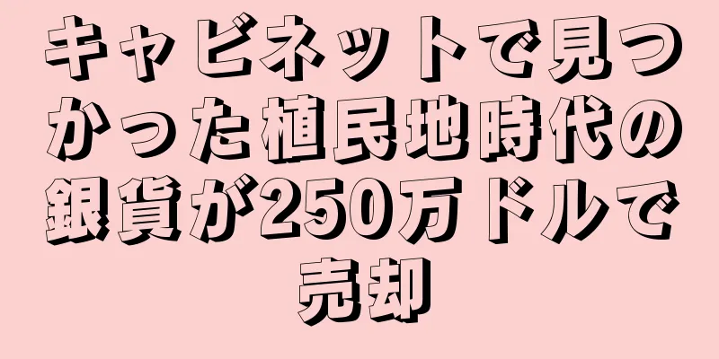 キャビネットで見つかった植民地時代の銀貨が250万ドルで売却