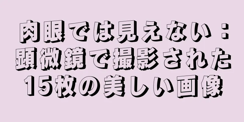 肉眼では見えない：顕微鏡で撮影された15枚の美しい画像