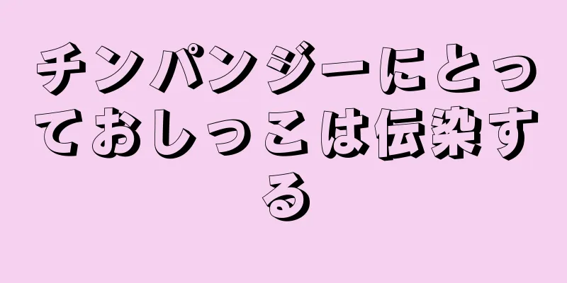 チンパンジーにとっておしっこは伝染する