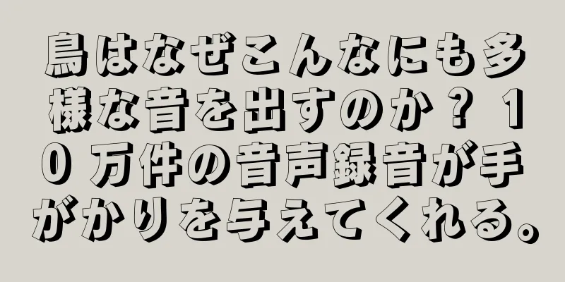 鳥はなぜこんなにも多様な音を出すのか？ 10 万件の音声録音が手がかりを与えてくれる。