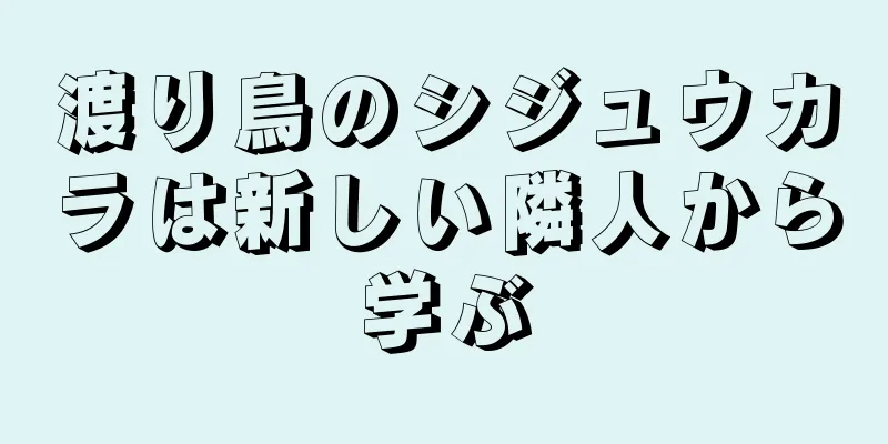 渡り鳥のシジュウカラは新しい隣人から学ぶ