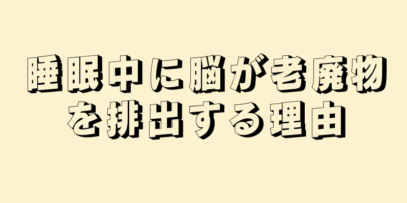 睡眠中に脳が老廃物を排出する理由