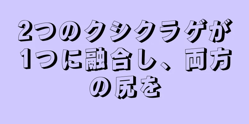 2つのクシクラゲが1つに融合し、両方の尻を