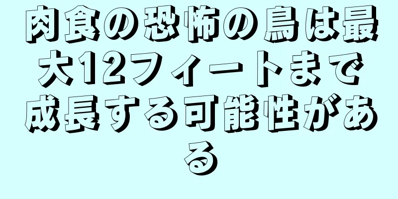 肉食の恐怖の鳥は最大12フィートまで成長する可能性がある
