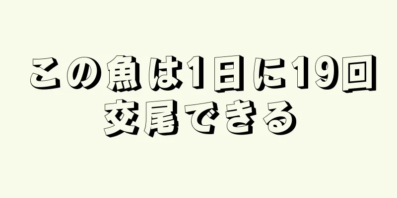 この魚は1日に19回交尾できる