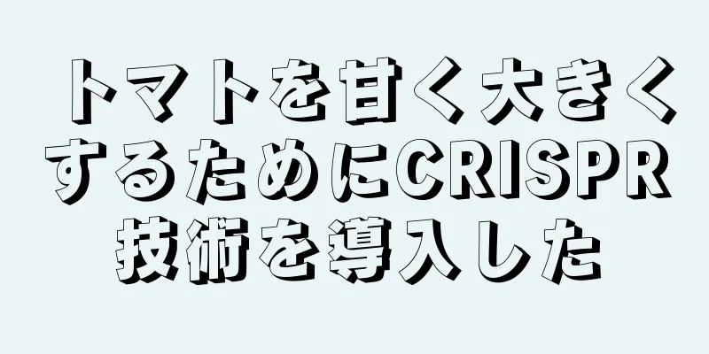 トマトを甘く大きくするためにCRISPR技術を導入した