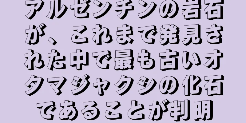 アルゼンチンの岩石が、これまで発見された中で最も古いオタマジャクシの化石であることが判明
