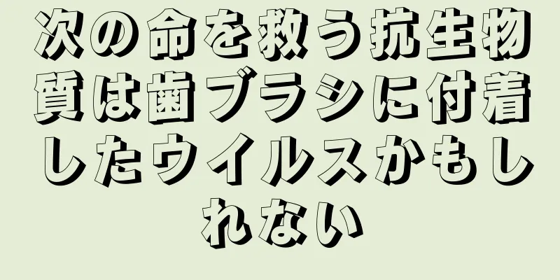 次の命を救う抗生物質は歯ブラシに付着したウイルスかもしれない