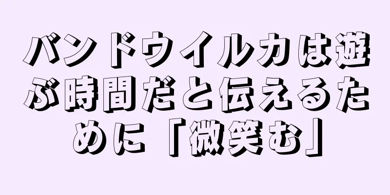 バンドウイルカは遊ぶ時間だと伝えるために「微笑む」