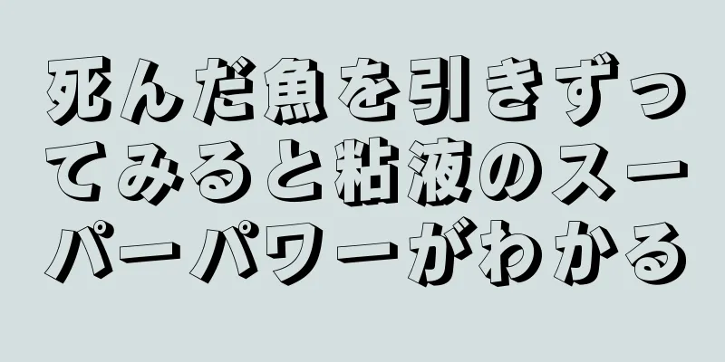 死んだ魚を引きずってみると粘液のスーパーパワーがわかる
