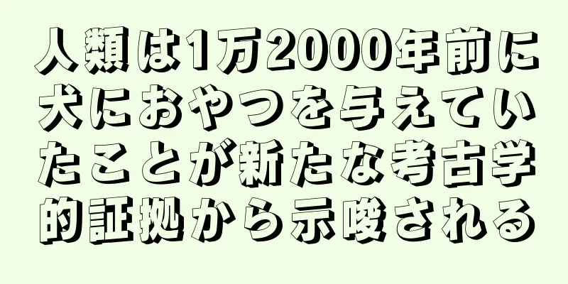 人類は1万2000年前に犬におやつを与えていたことが新たな考古学的証拠から示唆される