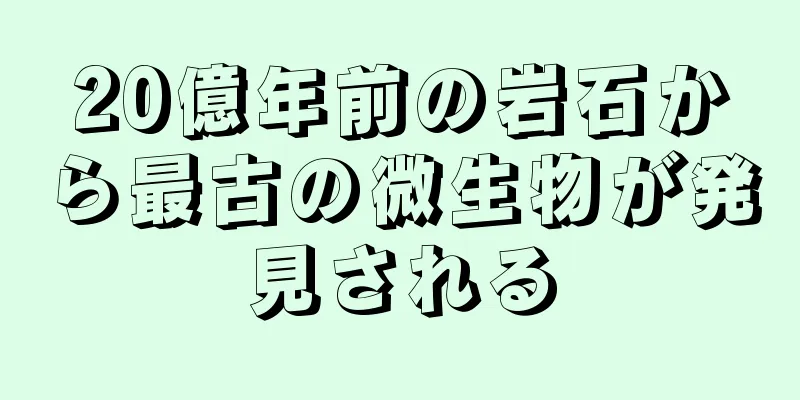 20億年前の岩石から最古の微生物が発見される