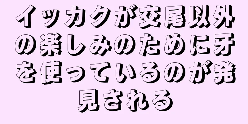 イッカクが交尾以外の楽しみのために牙を使っているのが発見される