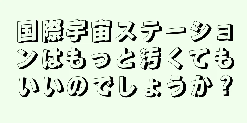 国際宇宙ステーションはもっと汚くてもいいのでしょうか？