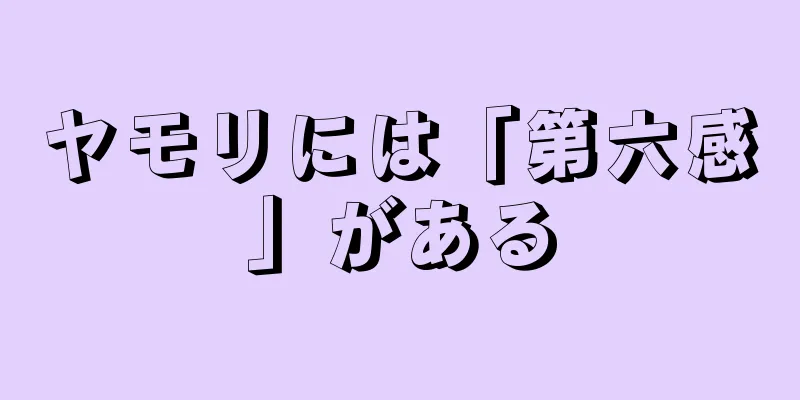 ヤモリには「第六感」がある