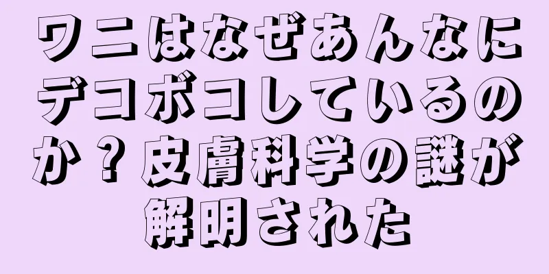 ワニはなぜあんなにデコボコしているのか？皮膚科学の謎が解明された