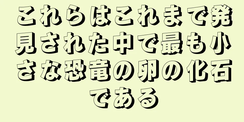 これらはこれまで発見された中で最も小さな恐竜の卵の化石である
