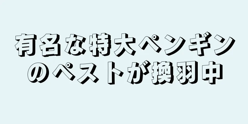 有名な特大ペンギンのペストが換羽中