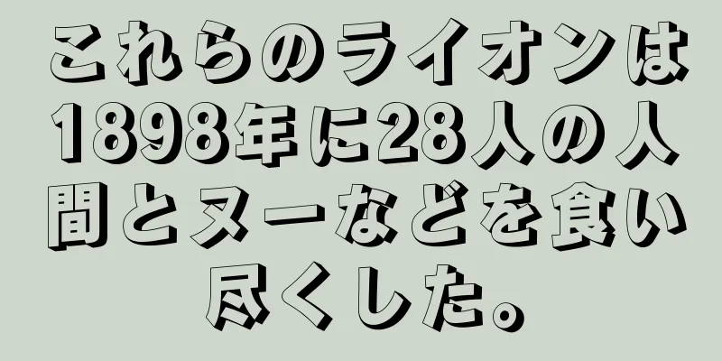 これらのライオンは1898年に28人の人間とヌーなどを食い尽くした。