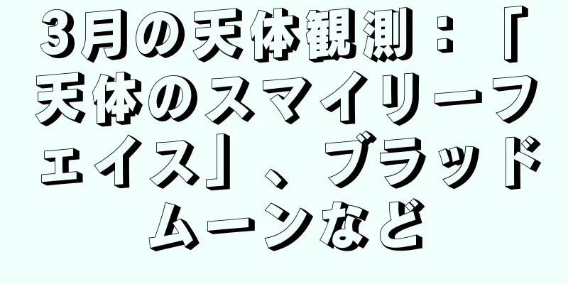 3月の天体観測：「天体のスマイリーフェイス」、ブラッドムーンなど