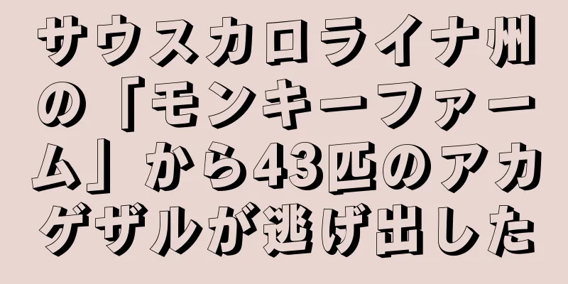 サウスカロライナ州の「モンキーファーム」から43匹のアカゲザルが逃げ出した