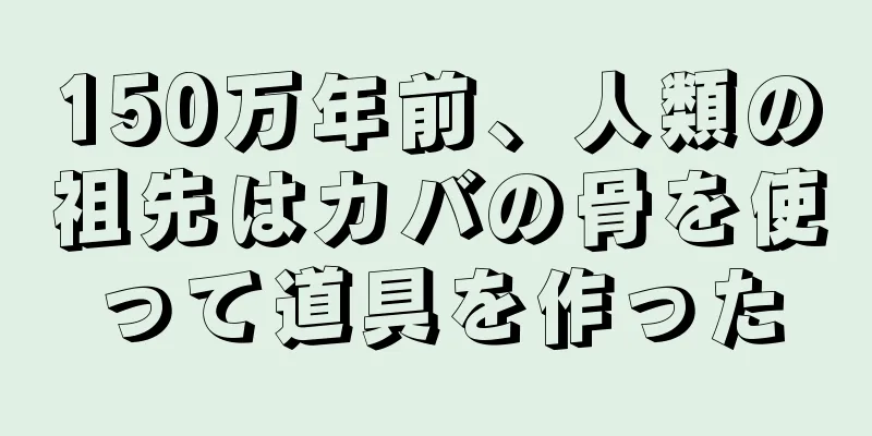 150万年前、人類の祖先はカバの骨を使って道具を作った