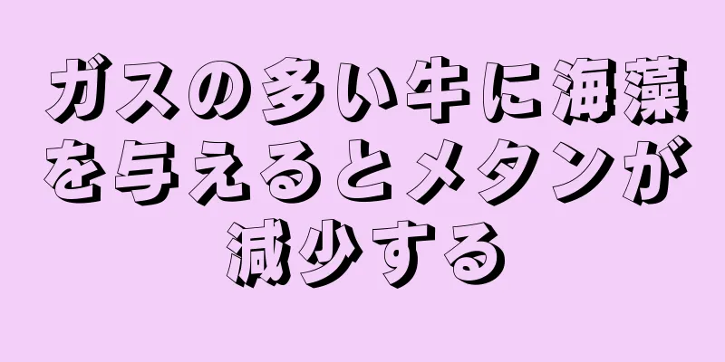 ガスの多い牛に海藻を与えるとメタンが減少する