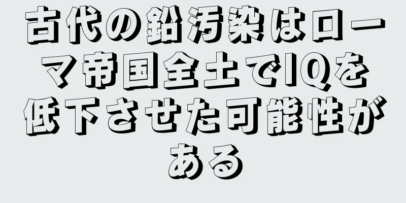 古代の鉛汚染はローマ帝国全土でIQを低下させた可能性がある