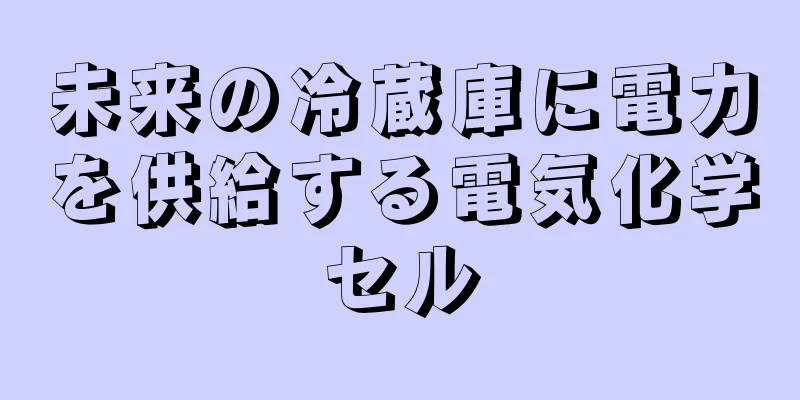 未来の冷蔵庫に電力を供給する電気化学セル