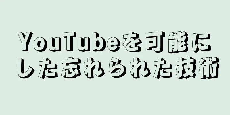 YouTubeを可能にした忘れられた技術