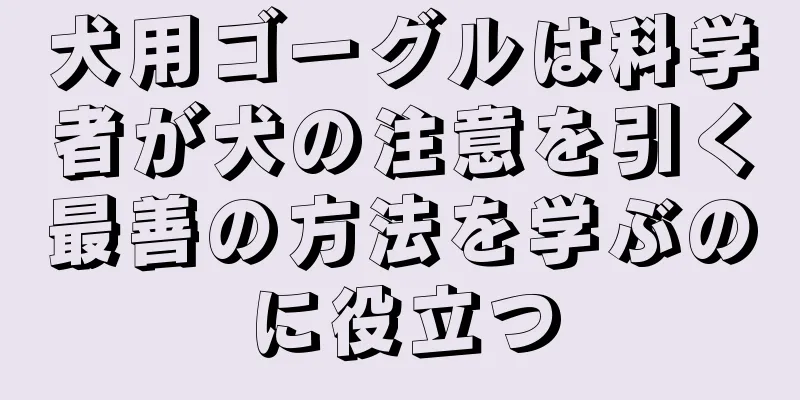 犬用ゴーグルは科学者が犬の注意を引く最善の方法を学ぶのに役立つ