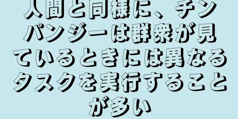人間と同様に、チンパンジーは群衆が見ているときには異なるタスクを実行することが多い