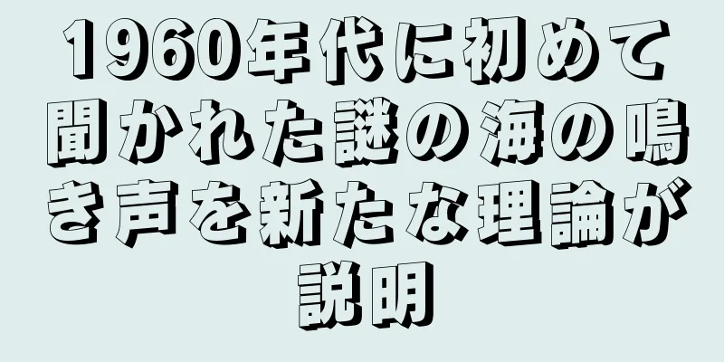 1960年代に初めて聞かれた謎の海の鳴き声を新たな理論が説明
