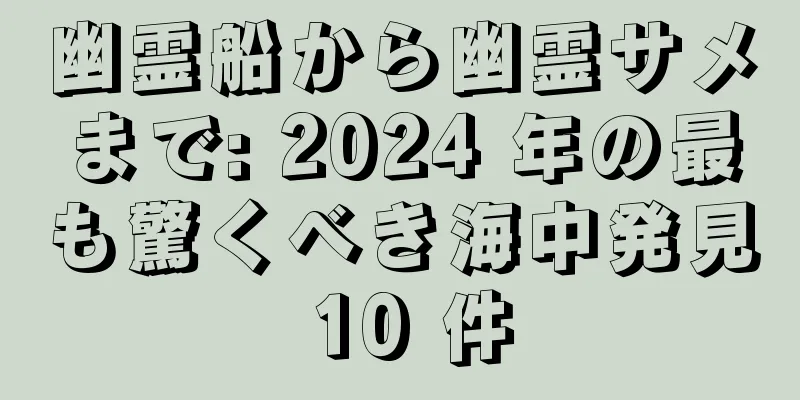 幽霊船から幽霊サメまで: 2024 年の最も驚くべき海中発見 10 件