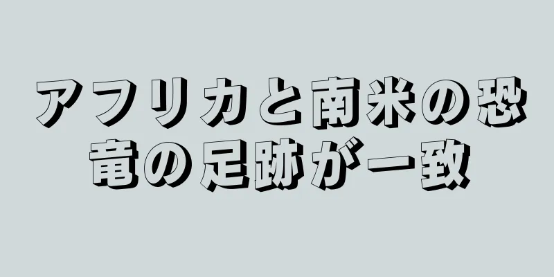 アフリカと南米の恐竜の足跡が一致