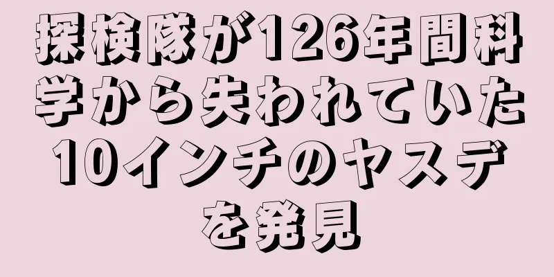探検隊が126年間科学から失われていた10インチのヤスデを発見