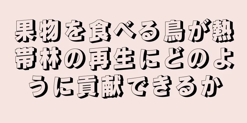 果物を食べる鳥が熱帯林の再生にどのように貢献できるか