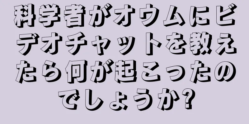 科学者がオウムにビデオチャットを教えたら何が起こったのでしょうか?